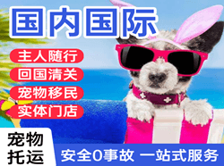 承德航空运输国际宠物托运 【国